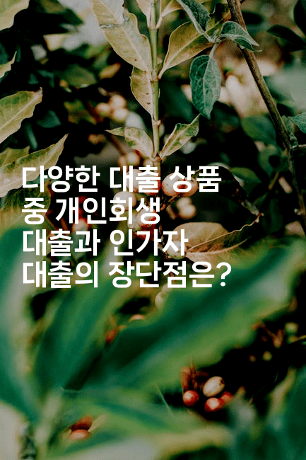 다양한 대출 상품 중 개인회생 대출과 인가자 대출의 장단점은?