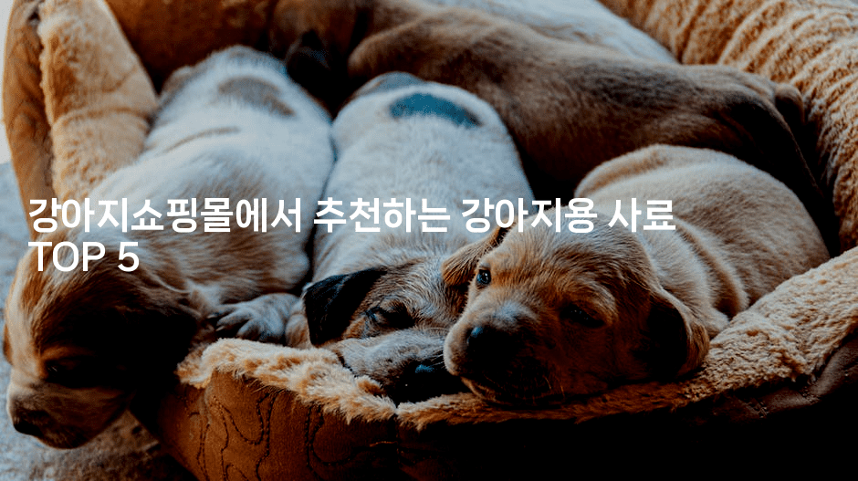 강아지쇼핑몰에서 추천하는 강아지용 사료 TOP 5