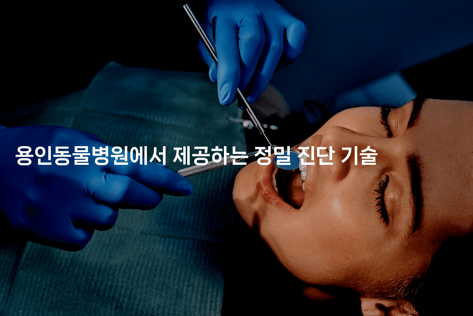 용인동물병원에서 제공하는 정밀 진단 기술-레어라이프