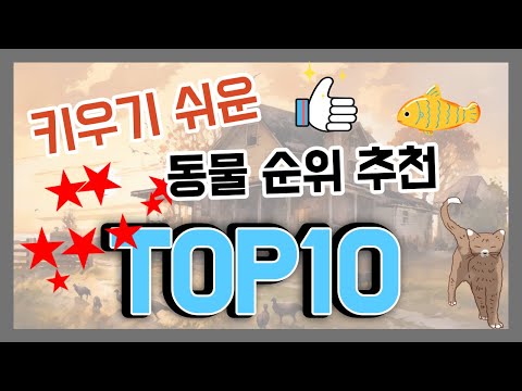 키우기 쉬운 동물 순위 추천 TOP 10