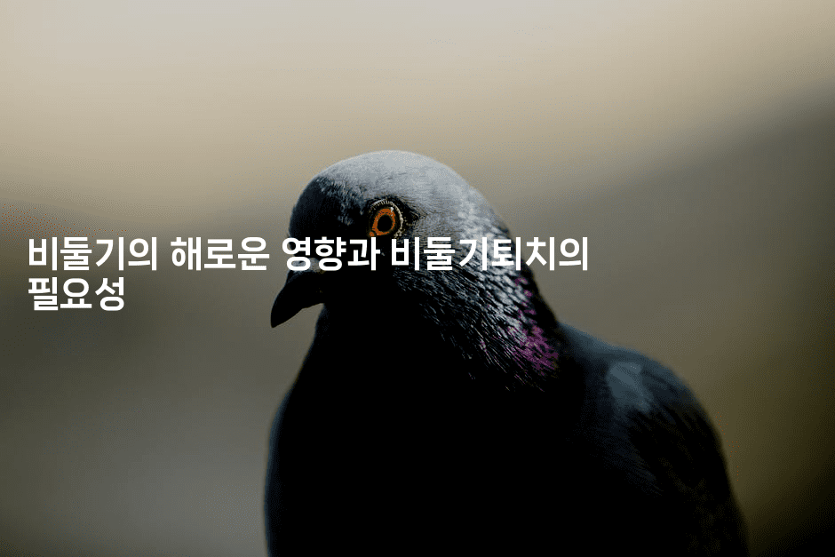 비둘기의 해로운 영향과 비둘기퇴치의 필요성2-레어라이프