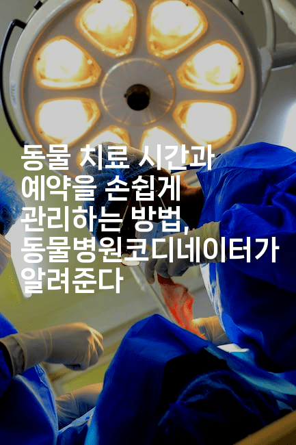 동물 치료 시간과 예약을 손쉽게 관리하는 방법, 동물병원코디네이터가 알려준다