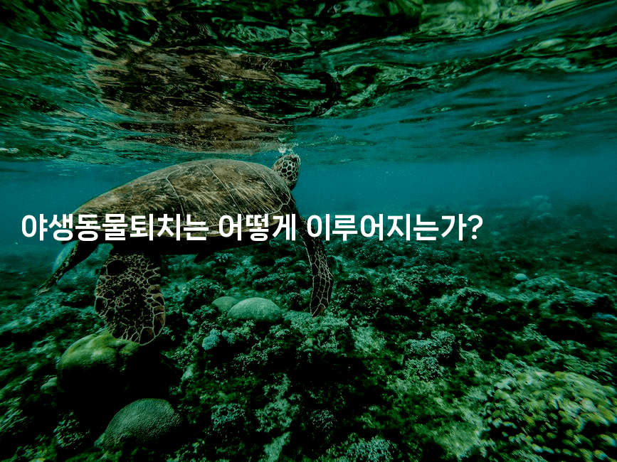 야생동물퇴치는 어떻게 이루어지는가?2-레어라이프