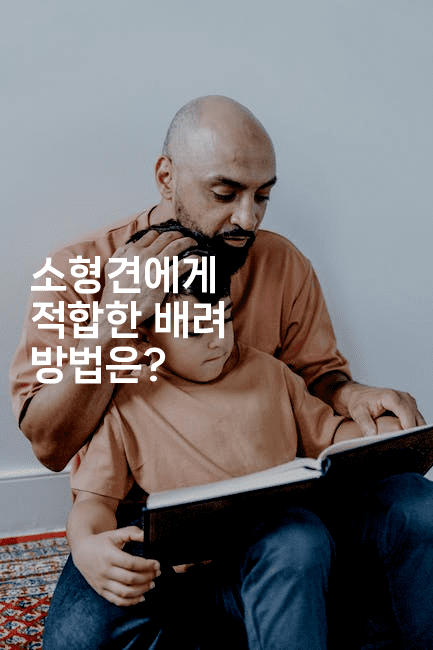 소형견에게 적합한 배려 방법은?2-레어라이프