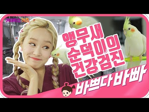 동물병원의사쌤이 된 지니! 바쁘다바빠 직업탐험｜ KBS TV유치원 ｜ pretend play