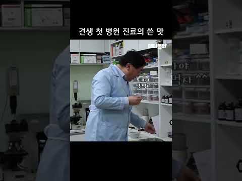 견생 첫 병원 진료의 쓴 맛… #shorts