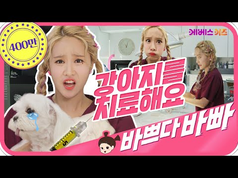 헤이지니 수의사놀이 바쁘다바빠 | 아픈 동물 친구들을 치료해요! ｜ pretend play