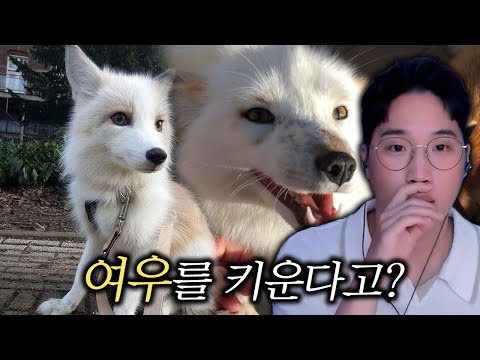 반려 동물 장기자랑 대회! (여우키우시는 분이 제일 대단해 ?)