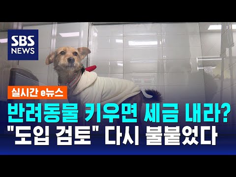 반려동물 키우면 세금 내라?…"도입 검토" 다시 불붙었다 / SBS / 실시간 e뉴스