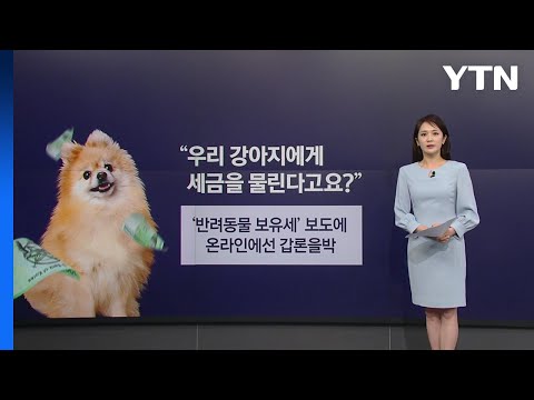 [뉴스NIGHT] 반려동물 키우려면 보유세 내라?...관련 보도에 '갑론을박' / YTN