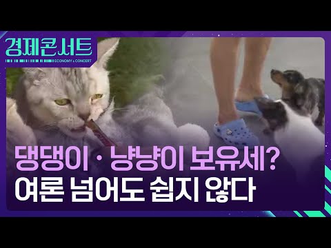 댕댕이·냥냥이 보유세?…반발 넘어도 어려운 이유 [경제콘서트] / KBS  2024.09.23.