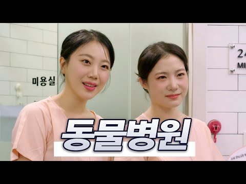 아르마딜로 진료 되나요..? (SUB)