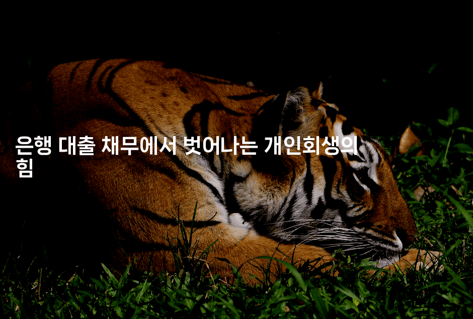 은행 대출 채무에서 벗어나는 개인회생의 힘-레어라이프