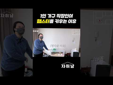 1인가구 직장인의 반려동물로 햄스터가 딱인 이유 #shorts