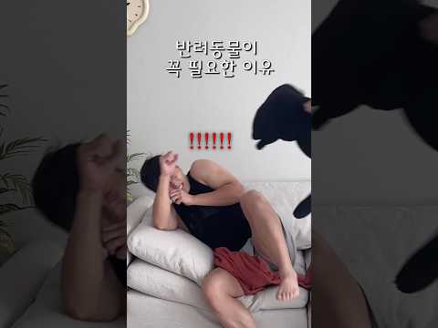 반려동물이 꼭 필요한 이유(?) #shorts