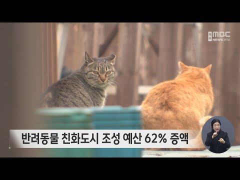 반려동물 친화도시 조성 예산 62% 증액