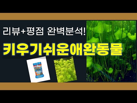 키우기쉬운애완동물 추천 BEST 5 | 쇼핑팁스가 하나하나 분석해봤습니다.