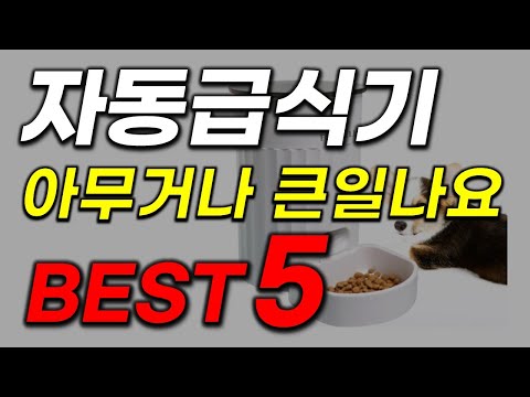 반려동물 자동급식기 추천! 2023년 역대급 핵가성비 TOP5