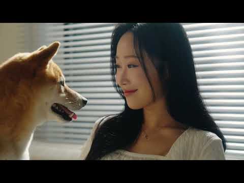 반려동물 전용 후코이단 후코펫 (FUCOPET)