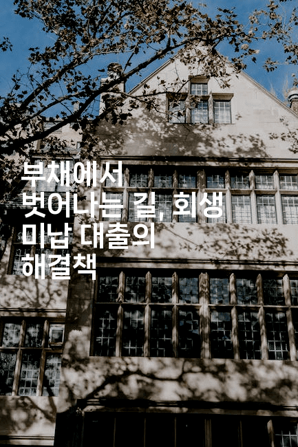 부채에서 벗어나는 길, 회생 미납 대출의 해결책-레어라이프