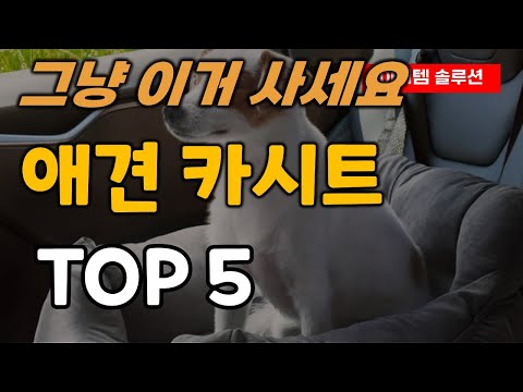 애견 카시트 추천 순위 TOP5