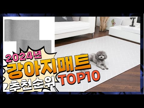 지금 사야 할 강아지매트! 2024년 추천 Top10!