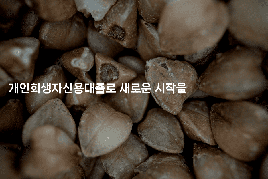 개인회생자신용대출로 새로운 시작을-레어라이프