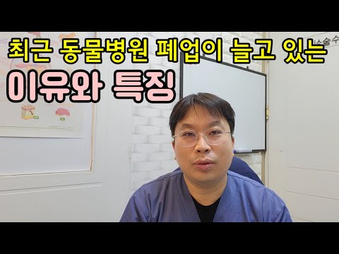 최근 동물병원 폐업이 늘고 있는 이유와 특징