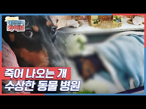 죽어 나오는 개, 수상한 동물 병원 KBS 220118 방송