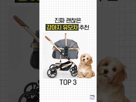 안보면 후회! 실패없는 강아지 유모차 추천 TOP3